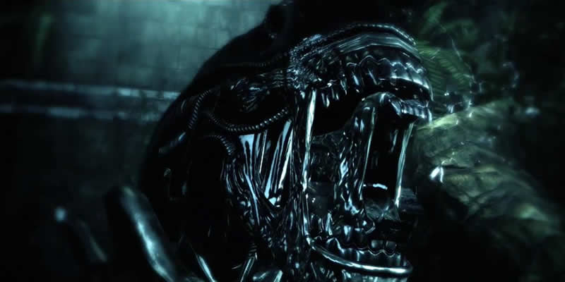 download alien versus predator movie