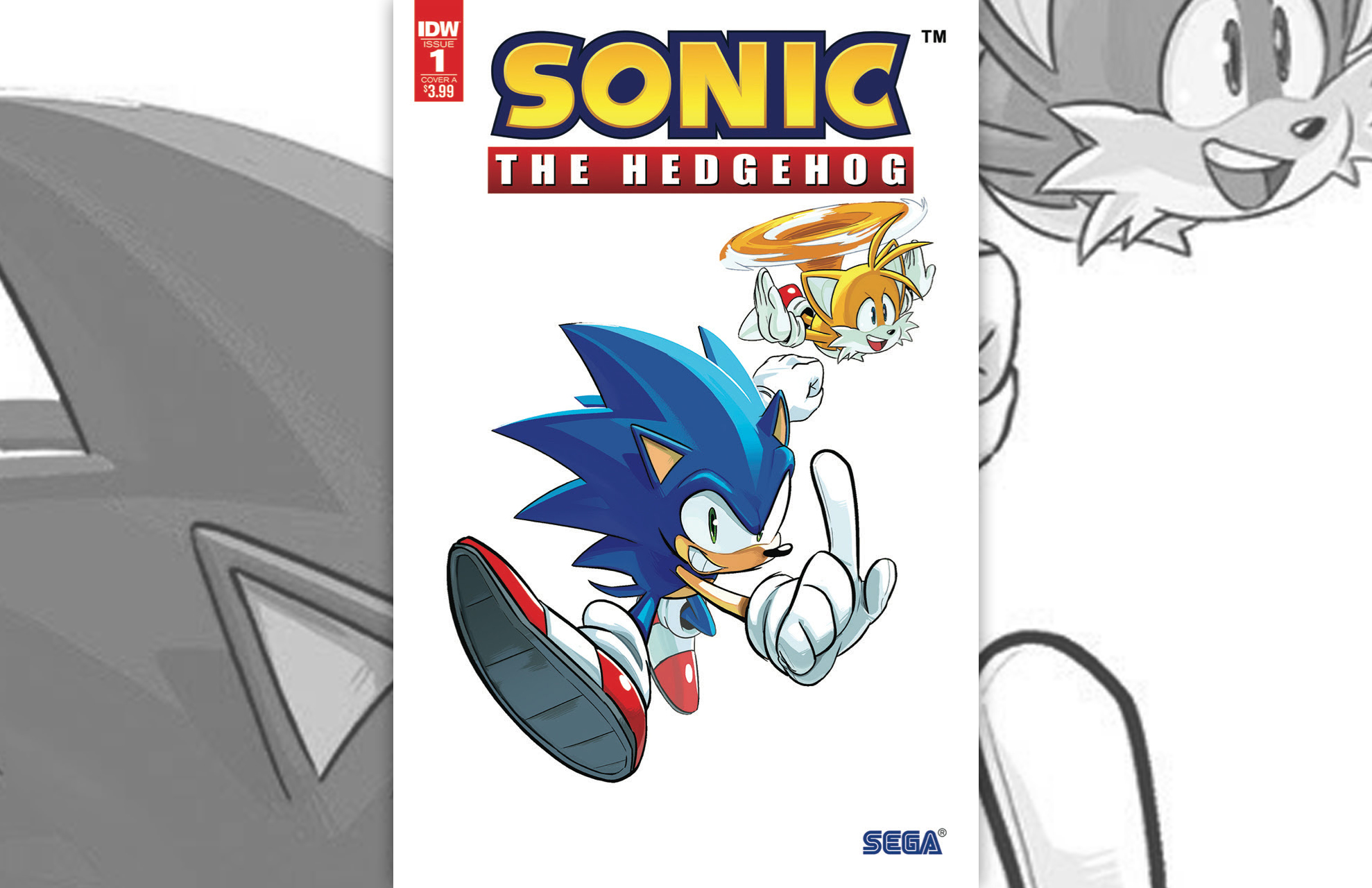 Sonic Central: IDW Sonic the Hedgehog one shot comic starring Amy Rose  announced » SEGAbits - #1 Source for SEGA News