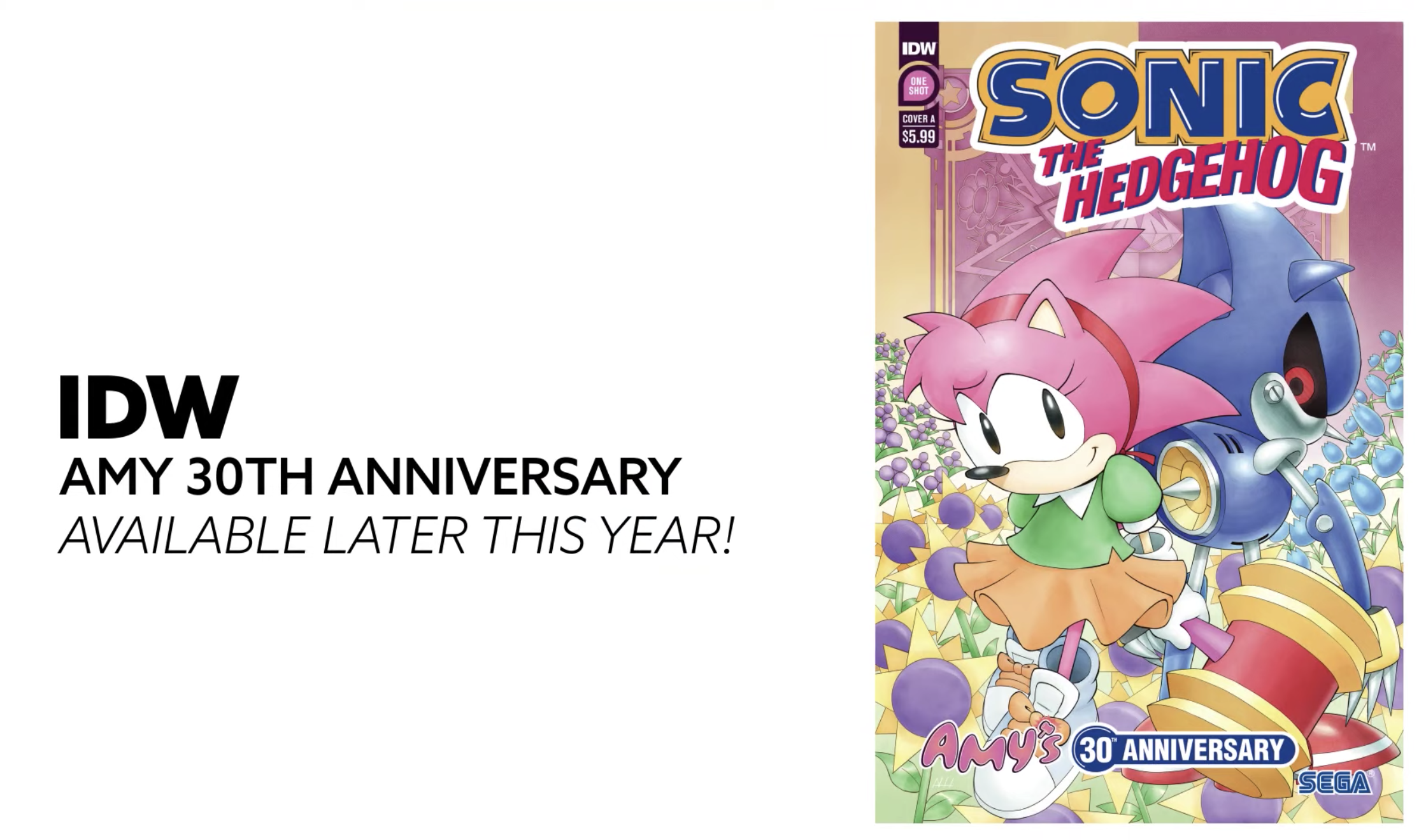 Sonic Central: IDW Sonic the Hedgehog one shot comic starring Amy Rose ...